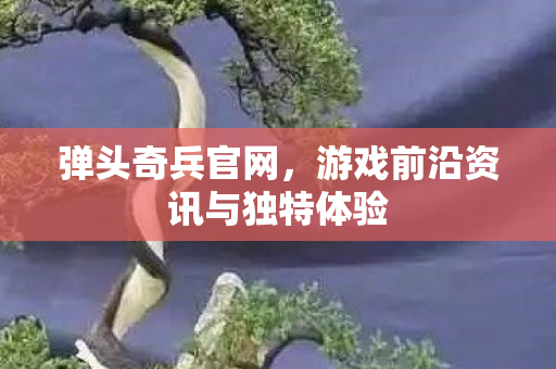游戏前沿资讯与独特体验图片