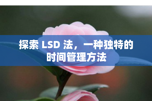 一种独特的时间管理方法图片