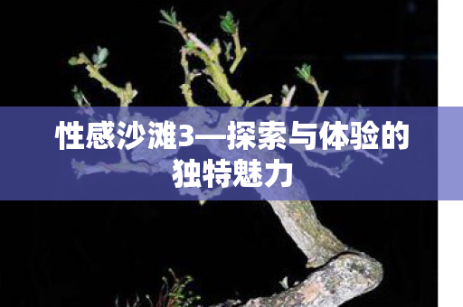 探索与体验的独特魅力图片