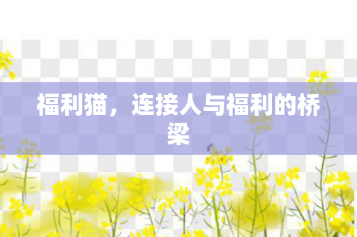 连接人与福利的桥梁图片