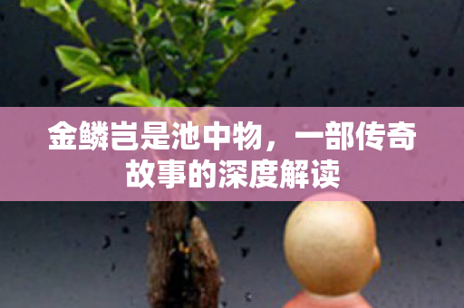一部传奇故事的深度解读图片