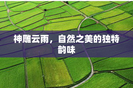 自然之美的独特韵味图片