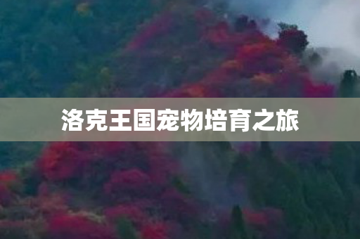 洛克王国宠物培育之旅图片