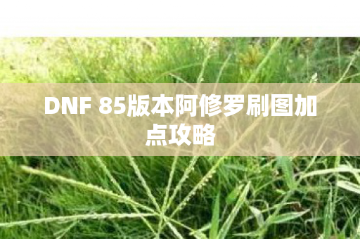 DNF 85版本阿修罗刷图加点攻略图片