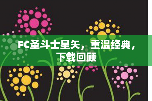 FC圣斗士星矢图片