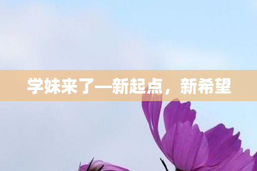 学妹来了图片