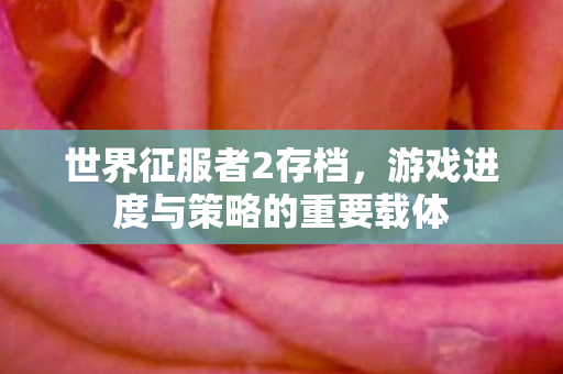 游戏进度与策略的重要载体图片