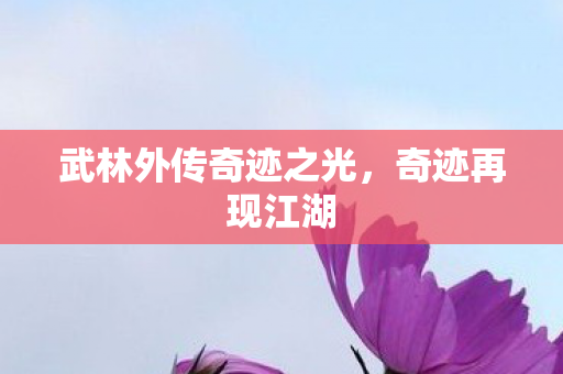 武林外传奇迹之光图片