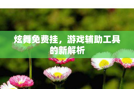游戏辅助工具的新解析图片