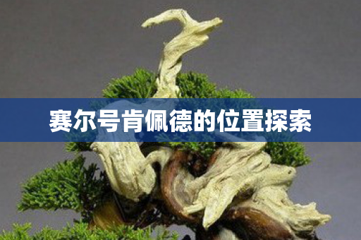 赛尔号肯佩德的位置探索图片