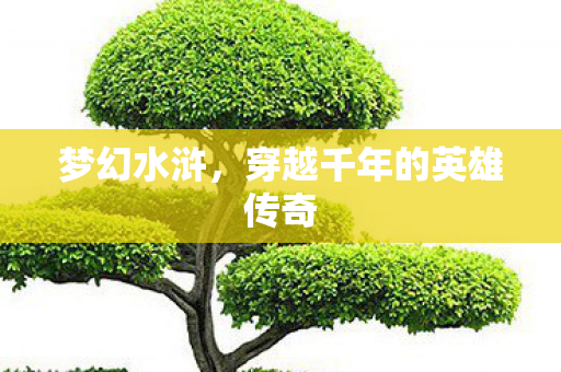 穿越千年的英雄传奇图片