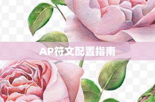 AP符文配置指南图片
