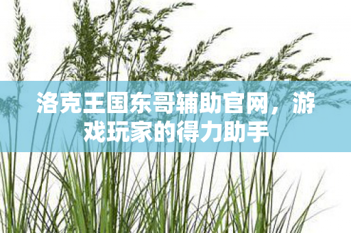 洛克王国东哥辅助官网图片