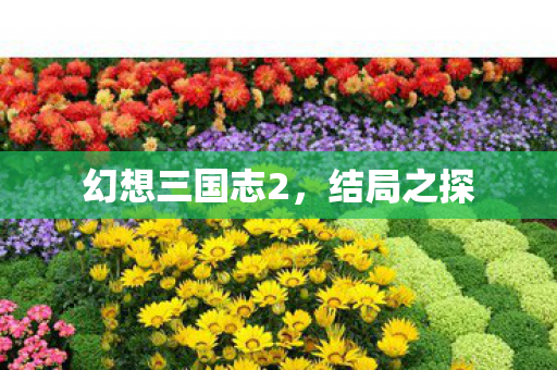 幻想三国志2图片