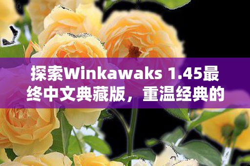 探索Winkawaks 1图片