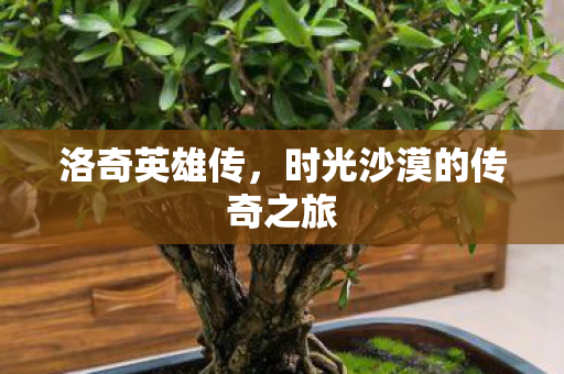 时光沙漠的传奇之旅图片