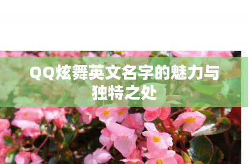QQ炫舞英文名字的魅力与独特之处图片