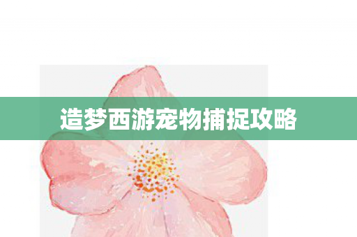 造梦西游宠物捕捉攻略图片
