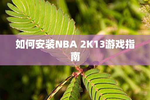 如何安装NBA 2K13游戏指南图片
