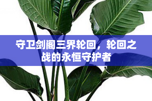 轮回之战的永恒守护者图片