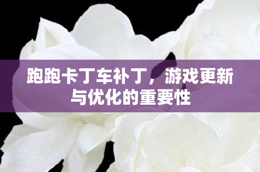 游戏更新与优化的重要性图片