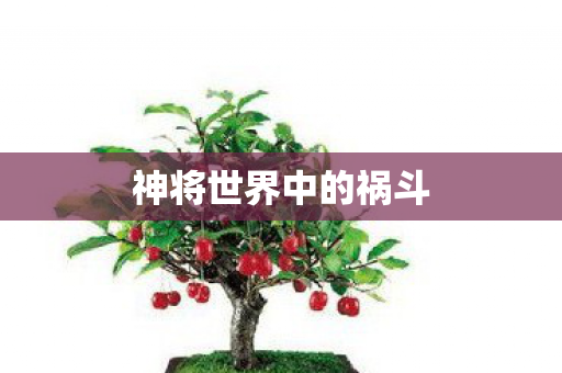 神将世界中的祸斗图片