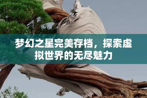 探索虚拟世界的无尽魅力图片