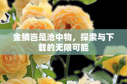 探索与下载的无限可能图片