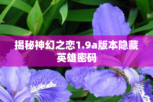9a版本隐藏英雄密码图片