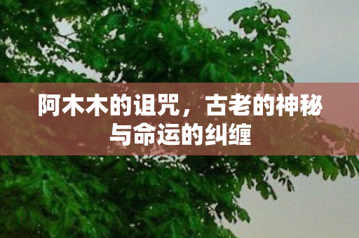 古老的神秘与命运的纠缠图片