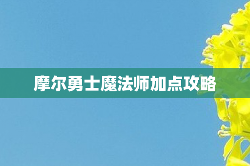 摩尔勇士魔法师加点攻略图片