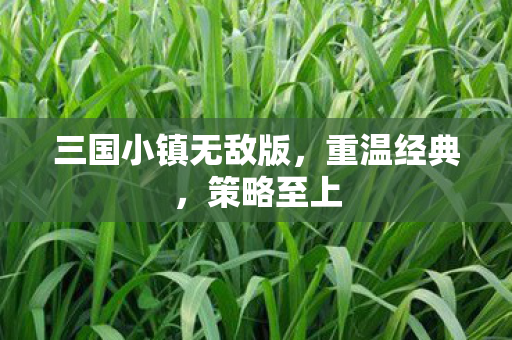 三国小镇无敌版图片