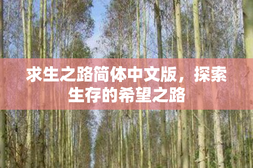 求生之路简体中文版图片