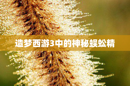 造梦西游3中的神秘蜈蚣精图片