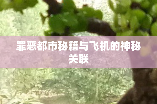 罪恶都市秘籍与飞机的神秘关联图片