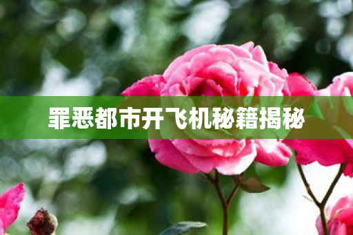 罪恶都市开飞机秘籍揭秘图片