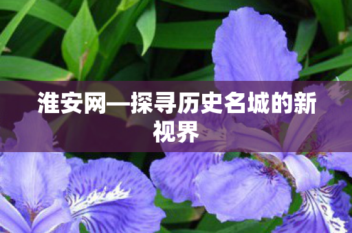 探寻历史名城的新视界图片