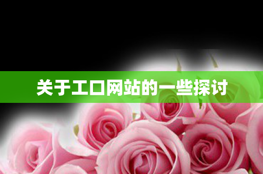 关于工口网站的一些探讨图片
