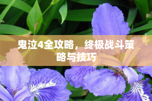 终极战斗策略与技巧图片