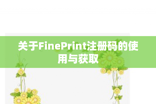关于FinePrint注册码的使用与获取图片