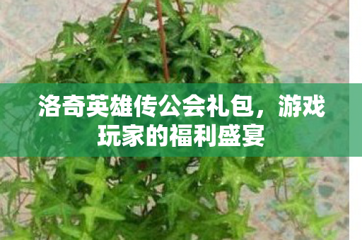 洛奇英雄传公会礼包图片