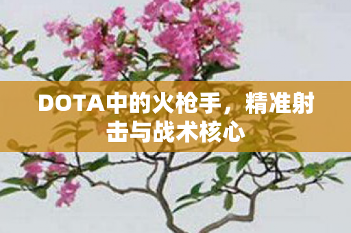 DOTA中的火枪手图片