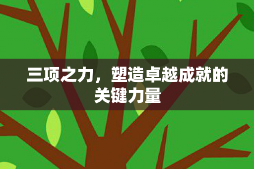 塑造卓越成就的关键力量图片