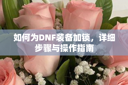 如何为DNF装备加锁图片