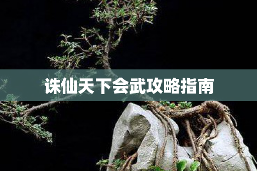 诛仙天下会武攻略指南图片