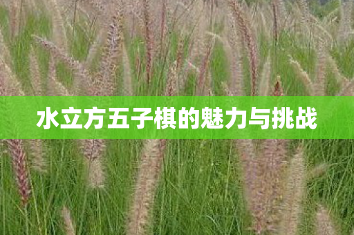 水立方五子棋的魅力与挑战图片