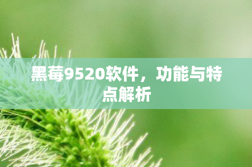 黑莓9520软件图片