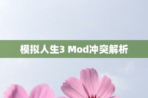 模拟人生3 Mod冲突解析图片