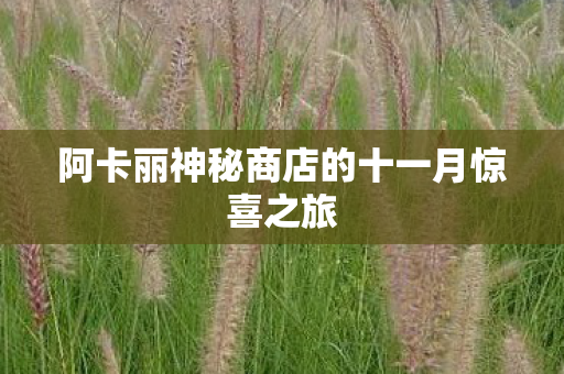 阿卡丽神秘商店的十一月惊喜之旅图片