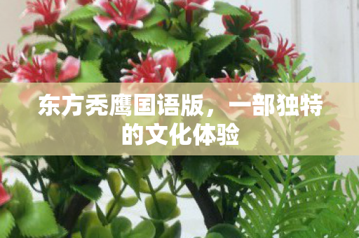 一部独特的文化体验图片